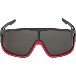 Alpina - Legend Cat. 3 - Sonnenbrille