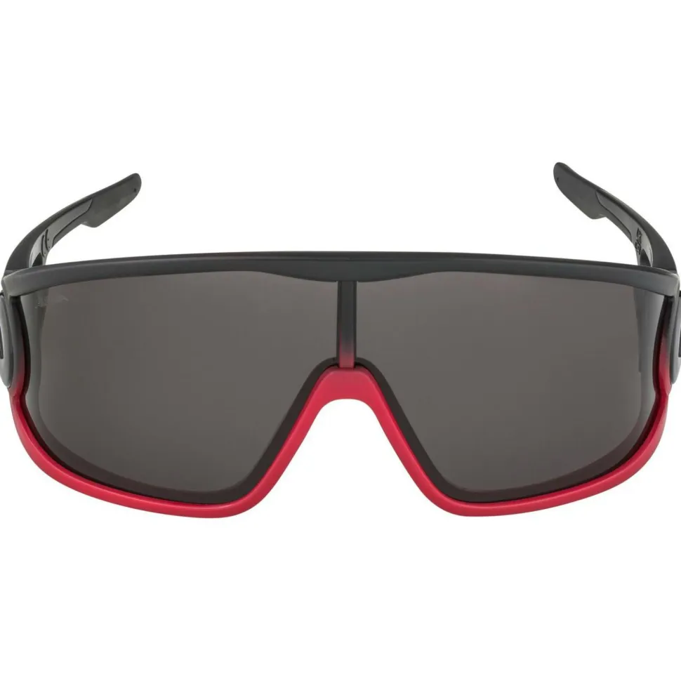 Alpina - Legend Cat. 3 - Sonnenbrille