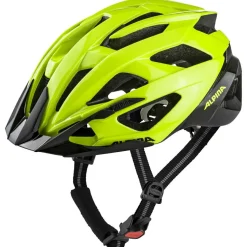 Alpina - Valparola - Radhelm