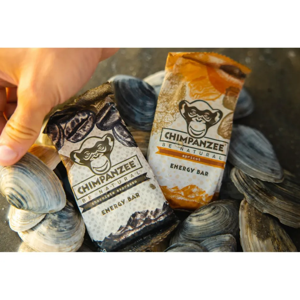 Chimpanzee - Energy Bar Dark Chocolate & Sea Salt - Energieriegel