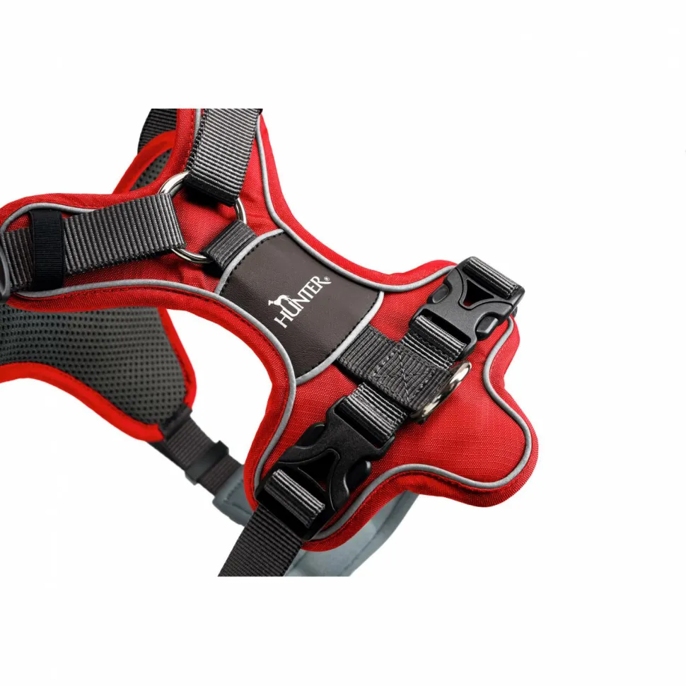 Hunter - Harness Divo - Hundegeschirr