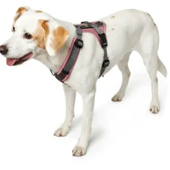 Hunter - Maldon Up - Hundegeschirr