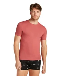 Icebreaker - Anatomica S/S Crewe - Merinounterwäsche