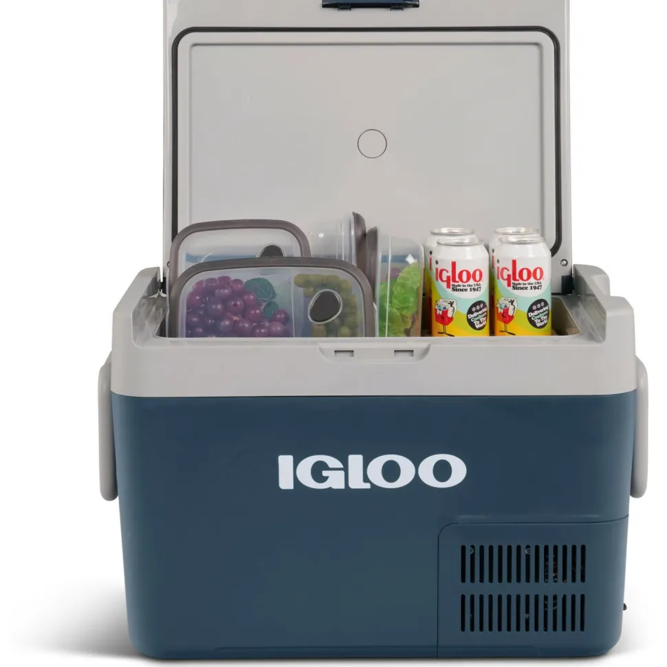 IGLOO - ICF 32 - Kühlbox