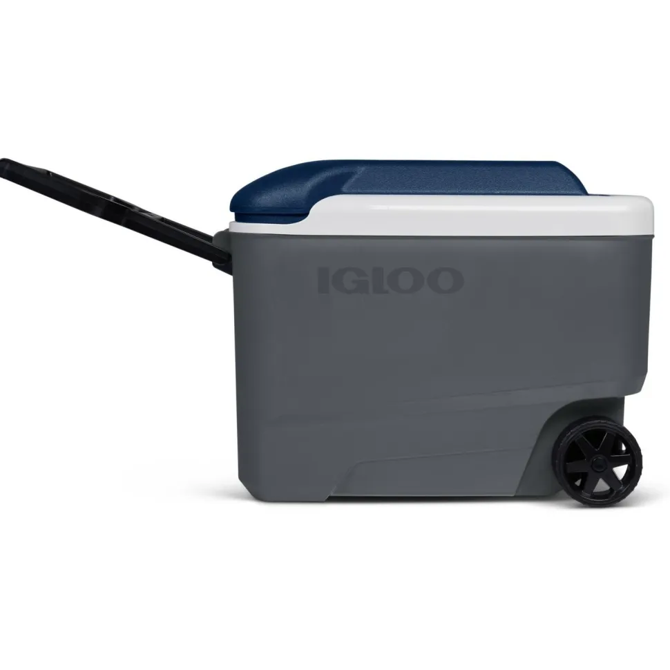IGLOO - Maxcold 40 Roller - Kühlbox