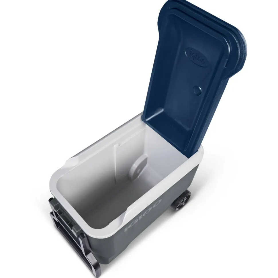 IGLOO - Maxcold 40 Roller - Kühlbox