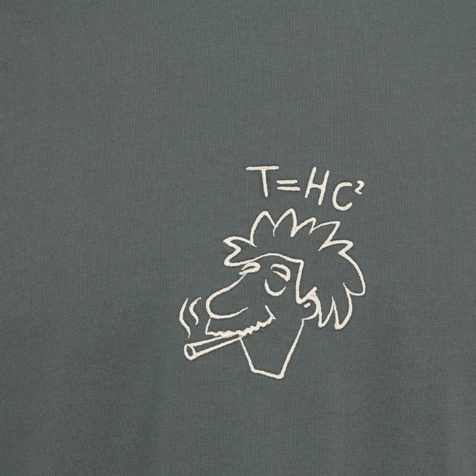 Iriedaily - New Theory T-Shirt - T-Shirt