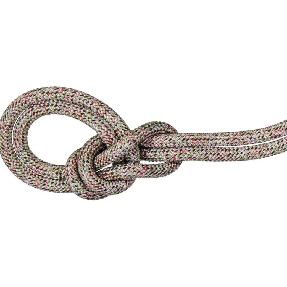 Mammut - 8.0 Alpine Core Protect Dry Rope - Halbseil