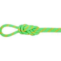 Mammut - 8.0 Alpine Dry Rope - Halbseil