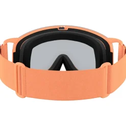 POC - Nexal S2 (VLT 29%) - Skibrille