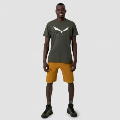 Salewa - Solidlogo Dry T-Shirt - Funktionsshirt