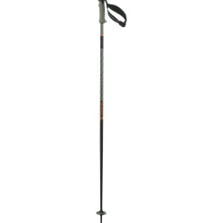 Salomon - Polar Pro S3 - Skistöcke