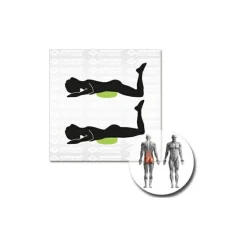 Schildkröt Fitness - Balance-Kissen Inflatable