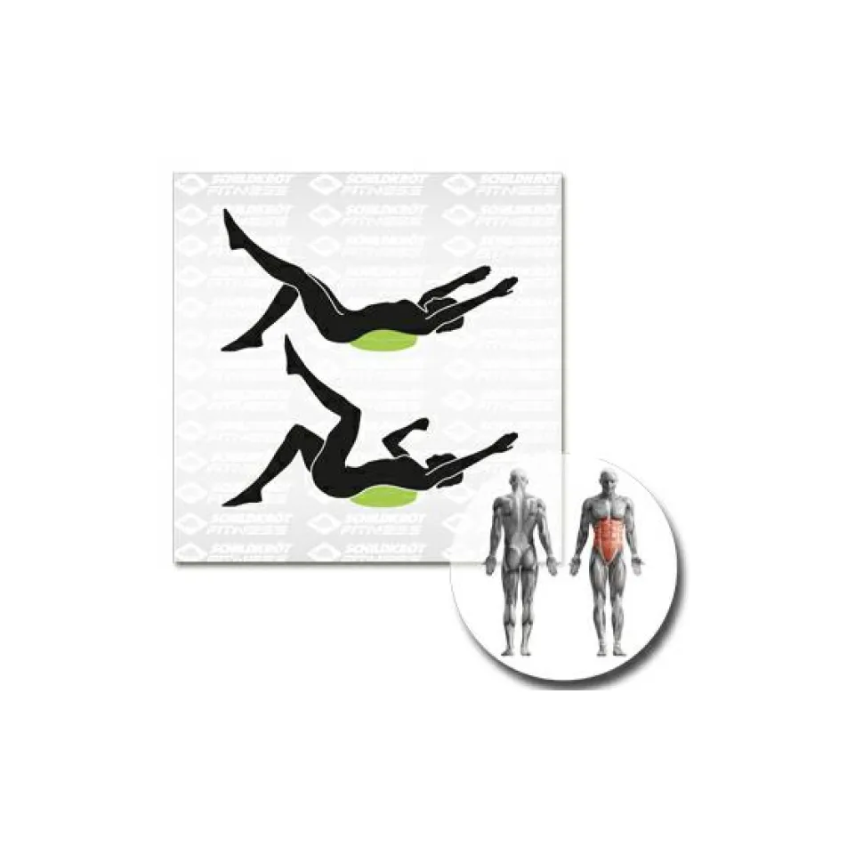 Schildkröt Fitness - Balance-Kissen Inflatable
